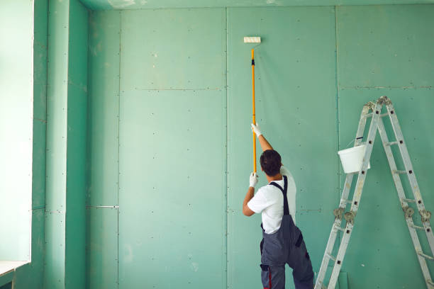 Best Mold Removal for HVAC Installations  in Newark, NY