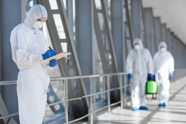 Reliable Newark, NY Mold Removal Solutions