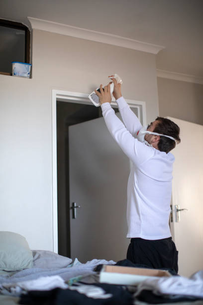Best Mold Remediation for Healthcare Facilities  in Newark, NY