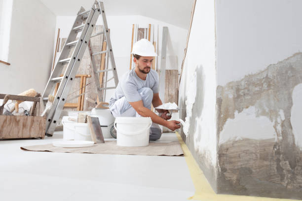 Best Airborne Mold Testing  in Newark, NY