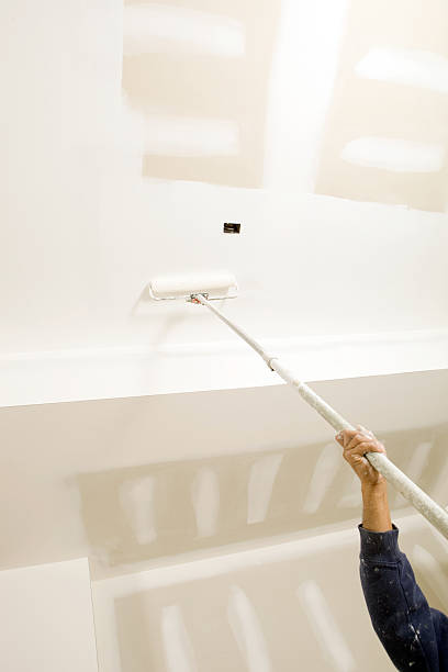 Best Emergency Mold Remediation  in Newark, NY